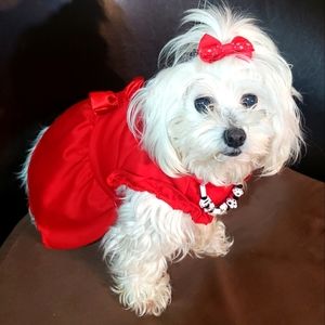 Red Dress with necklace